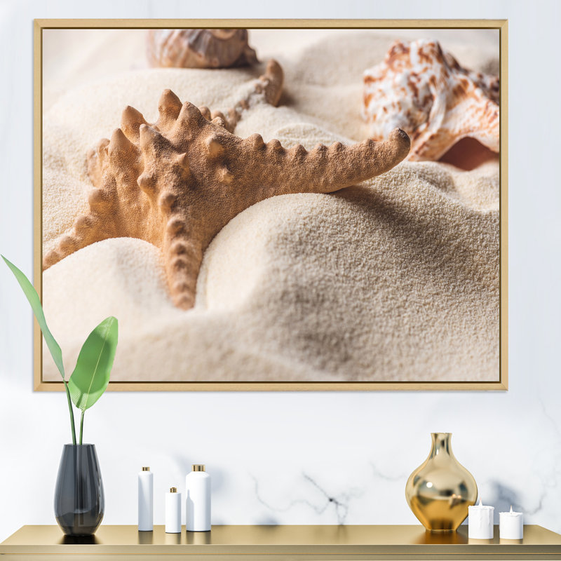 Étoile de mer et coquillage sur sable clair - photographie sur toile, Cadre érable, H 31 po x l 41 po x P 1,5 po