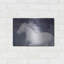 " White Running Horse In The Fog Mist 1 " by Irena Orlov-101616618