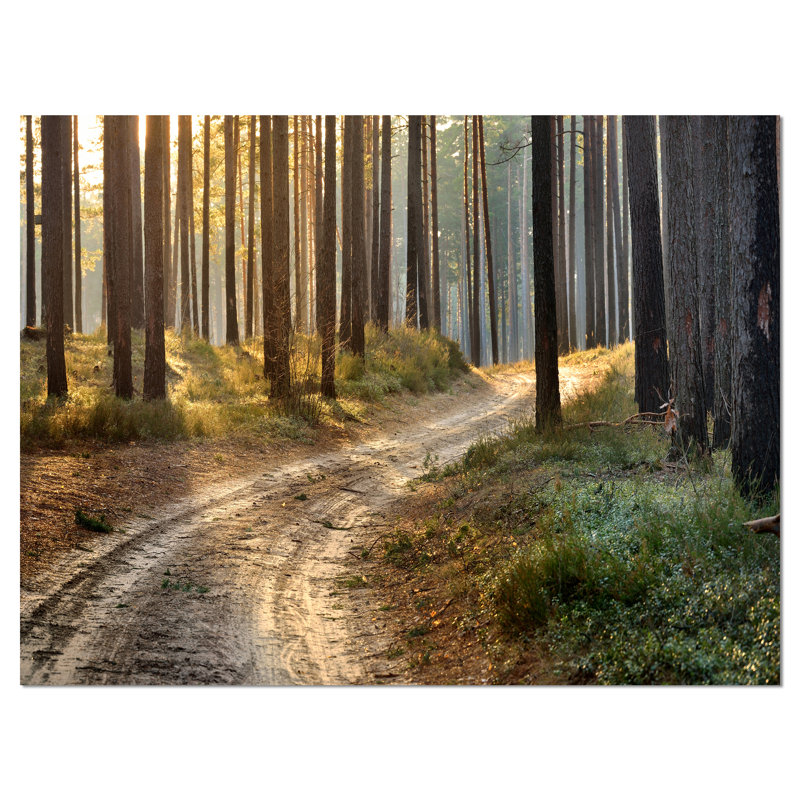 Road in Thick Morning Forest - Reproduction de photo sur toile tendue, H 8 po x l 12 po x P 1 po