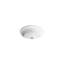 Artifacts 21-1/4 In. Oval Undermount Bathroom Sink