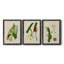 «Elegant Tropicals I», ensemble de 3 reproductions d'art sur toile-530225525-530225534