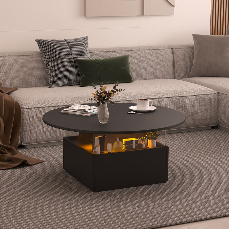 Solid Round Coffee Table with Two Drawers, Black