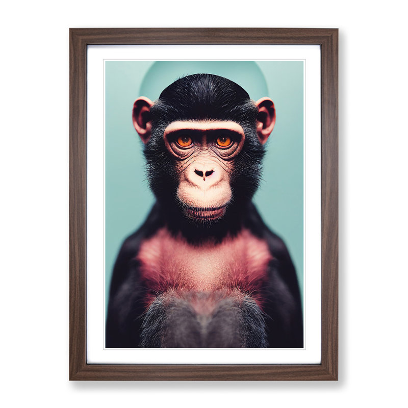 Remarkable Monkey - Wall Art, 48cm H x 36cm W, Walnut Framed, White