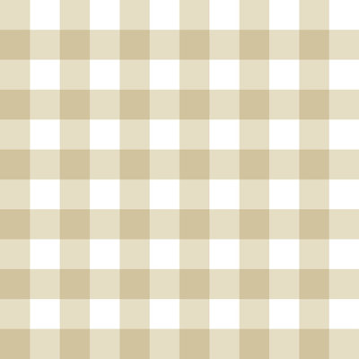 Little Explorers 2 Tartan Boom Wallpaper Roll