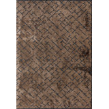 Rapture Abstract Area Rug in Brown