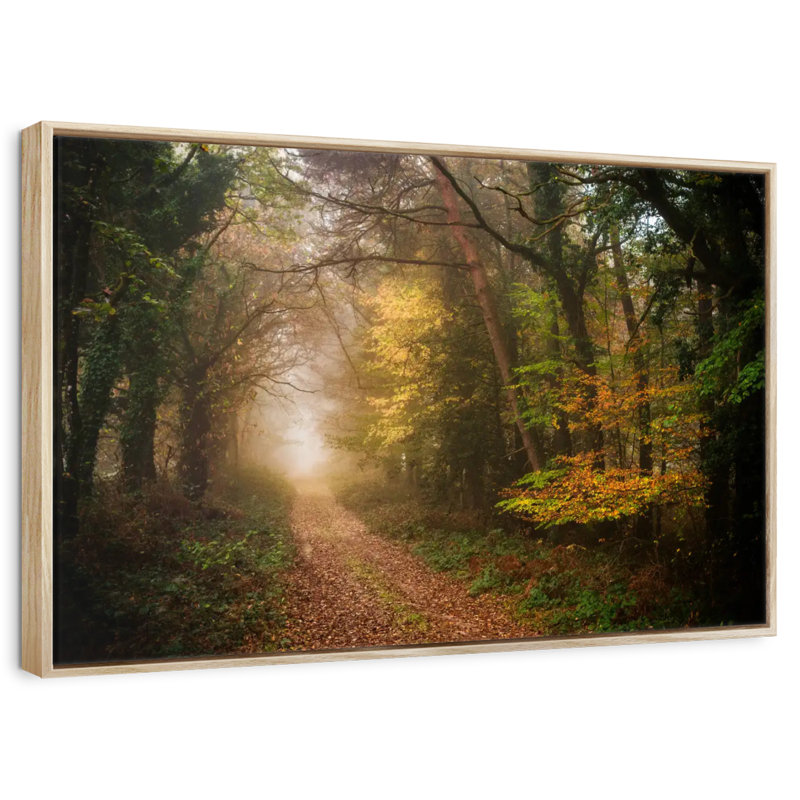 Chemin dans la forêt d'automne, 25 po x 17 po, Cadre flottant en bois naturel