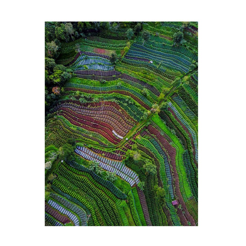 Farid Yuwono  Pattern Canvas Art, 18" H x 24" W
