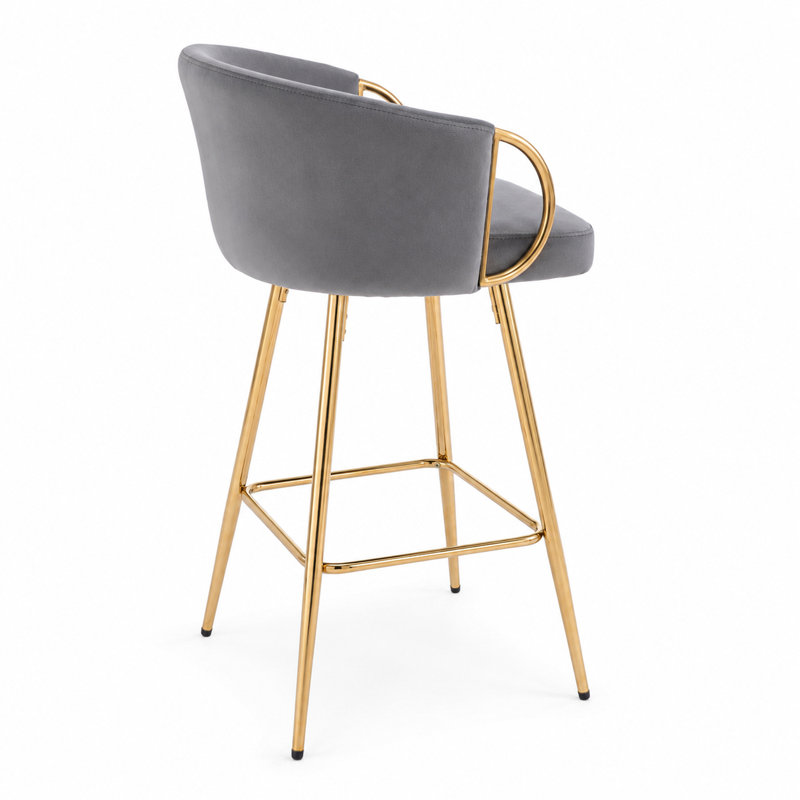 Mykaylah Velvet Barstool with Metal Armrests and Rectangular Footrest, Gray