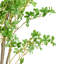 Faux Bonsai Tree in Pot-760590337