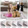Machine Washable Rugs Oriental Floral Non-Slip Low Pile Rubber Backing Area Rug for Living Room Bedroom Kitchen Dining Room