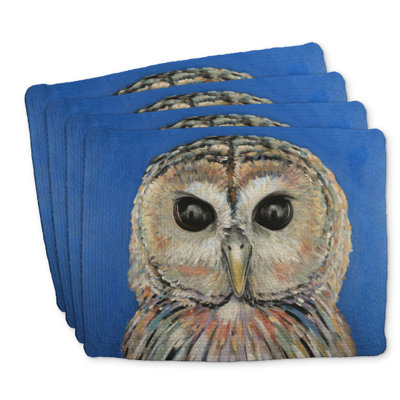Napperons colorés en polyester tressé hibou tacheté - ensemble de 4