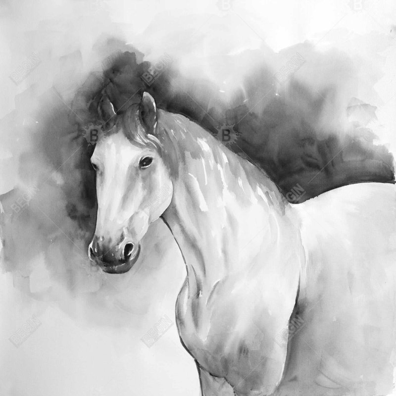 «Domino Horse»