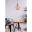 Celyn 1-Light Metal Lantern Pendant-1068056814