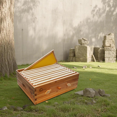 10-Frame Medium Super with Window Bee Box, Wax Coated Bee Hives with Transparent Acrylic Windows, Beehives Frames and Wax Foundations, Langstroth Honey Super for Beekeeping Supplement