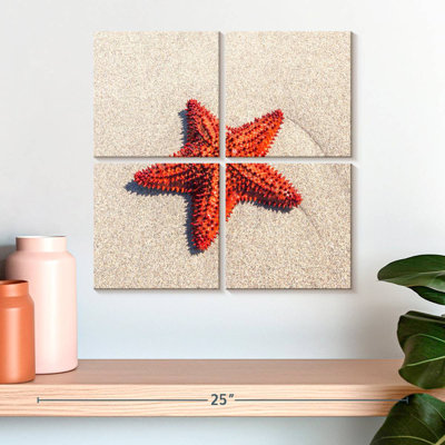 Aletra Red Cushion Sea Star