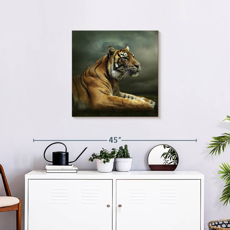 Brampt Stoic Tiger