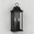 Alletta 20.6'' H 2-Light Aluminum Wall Sconce with Dusk-to-Dawn Sensor-1014558522