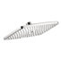 Raindance E 240 Shower Head and Extension Pipe Kit