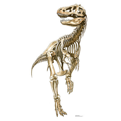 76 in. Dinosaurs Cardboard Standup