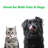 PETMAKER Large Elevated Pet Bowls with Stand