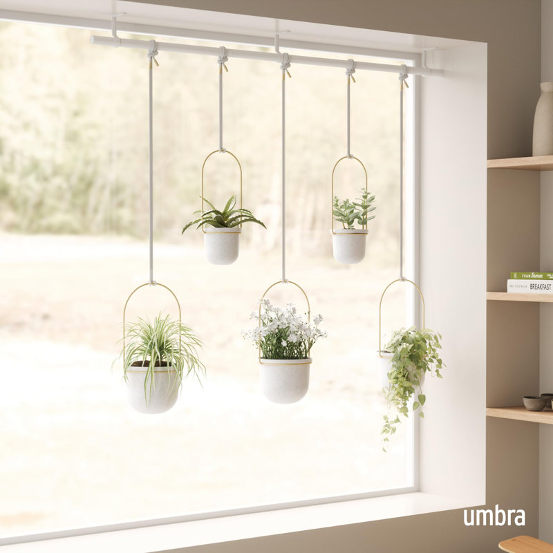 Triflora Adjustable White/Brass Indoor/Outdoor Hanging Planter