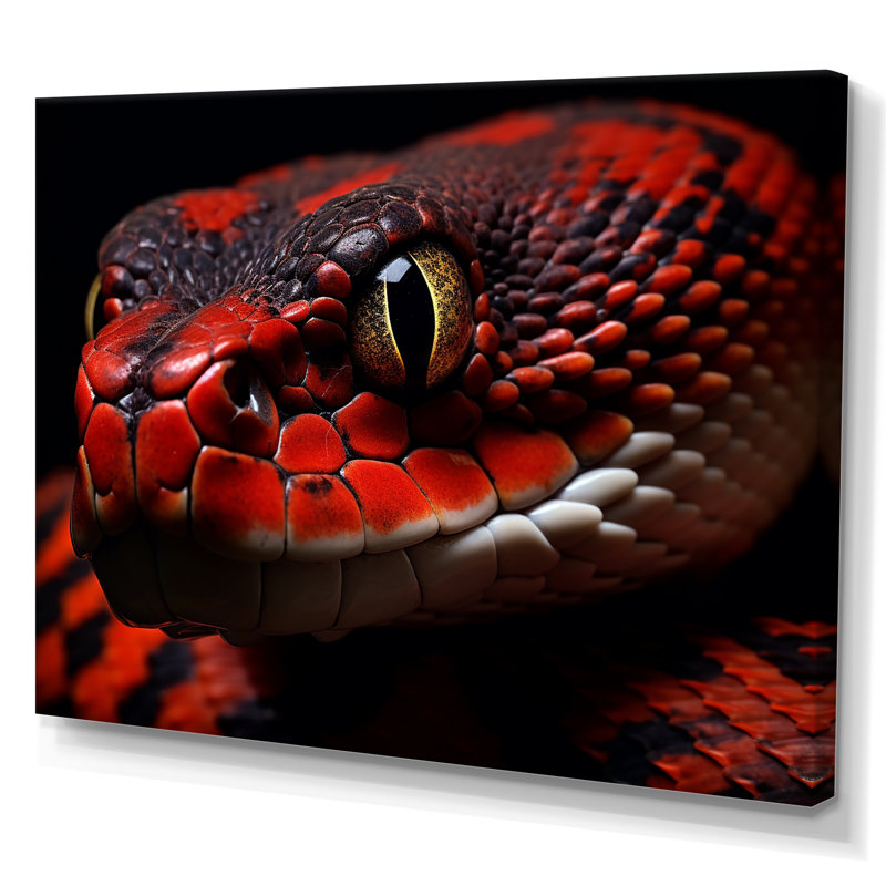 " Serpents Stare ", Wrapped Canvas, 30" H x 40" W