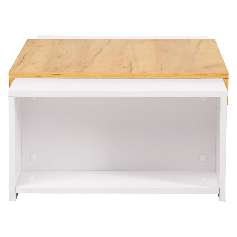 Fatlina Frame Coffee Table with Storage