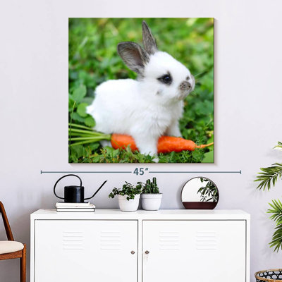Crowle Baby Rabbit With Carrot