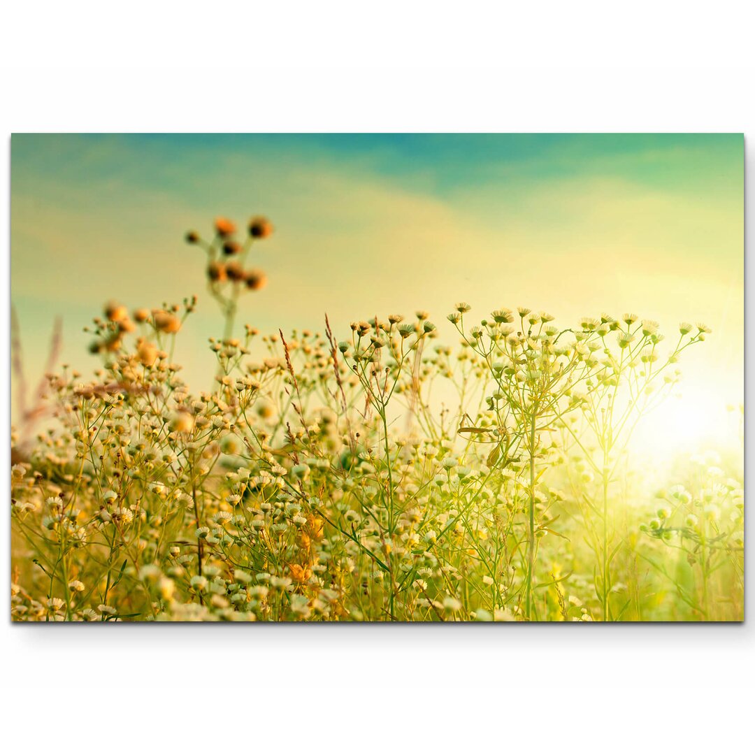 Leinwandbild Herbstliche Blumenwiese im Sonnenschein