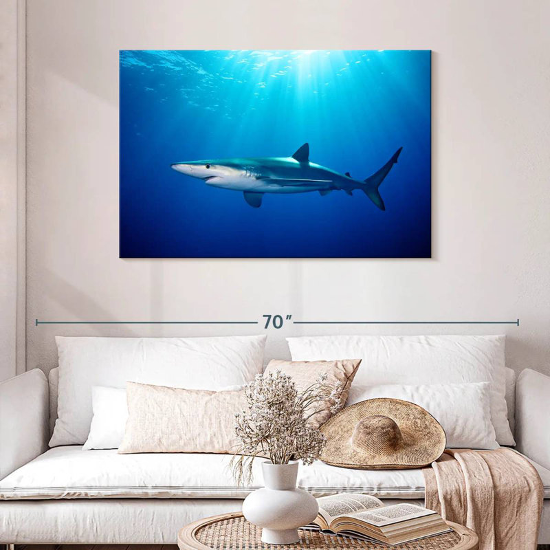 Brampt Blue Shark In Gordon's Bay, 30" H x 45" W
