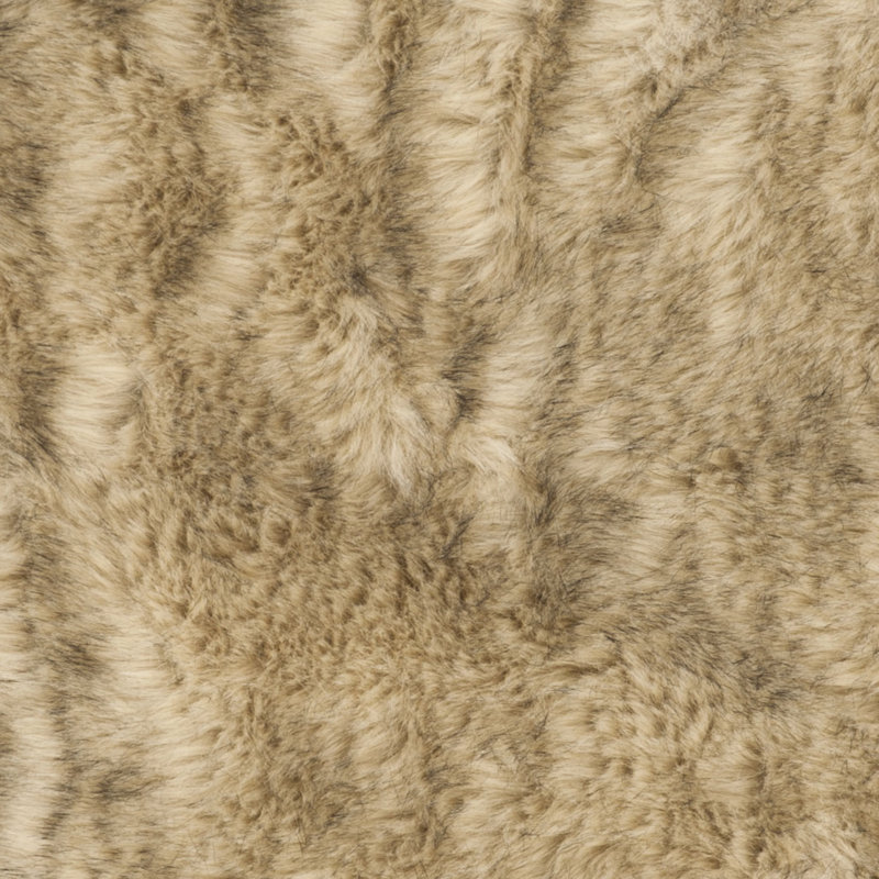 Tapis brun Taneytown, Rectangulaire 3 pi x 5 pi