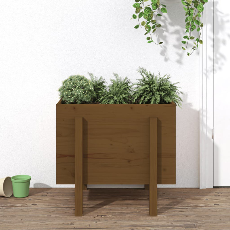 Meenakshi Wood Raised Garden Bed, Pine, 57cm H x 62cm W x 50cm D, Honey Brown