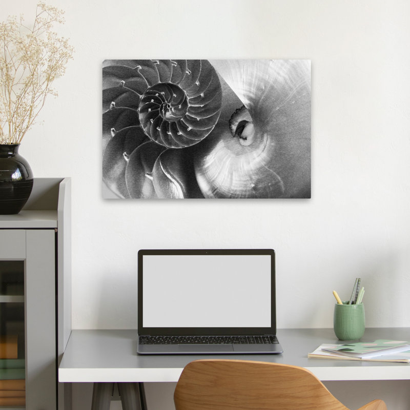 Nautilus côtier Yin Yang, H 24 po x l 16 po