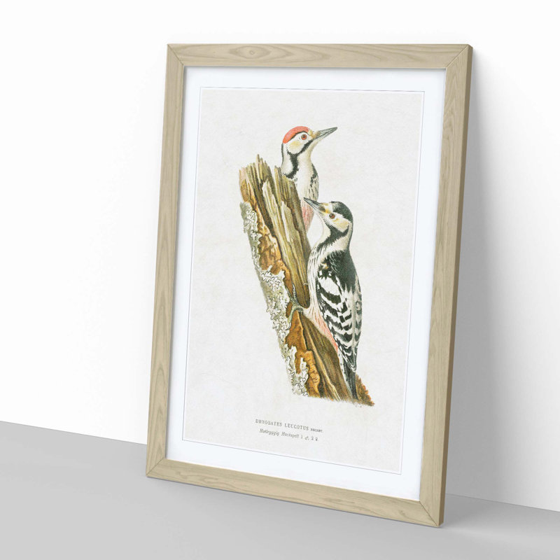 White-Backed Woodpeckers by Von Wright - Framed Print, 91cm H x 60cm W x 2cm D, Oak