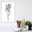 " Herb " by Albina Bratcheva-43718715-43718716