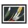 Prime Bird Feathers - Single Picture Frame Print