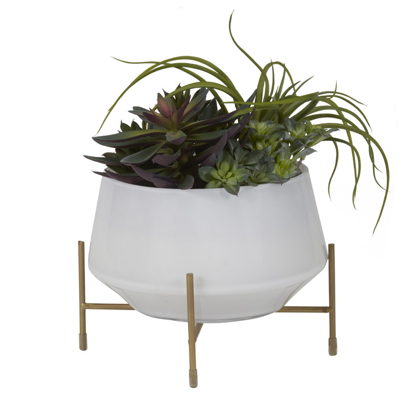 Faux Plant in Glass Planter