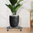 Plant Tray