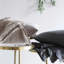 Delaveen Cotton Pillow Sham-40207036
