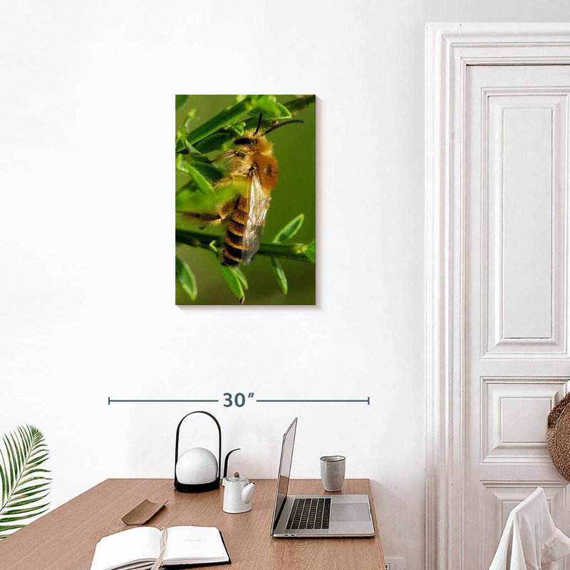 Brampt Bee Bee Bee, H 24 po x l 16 po