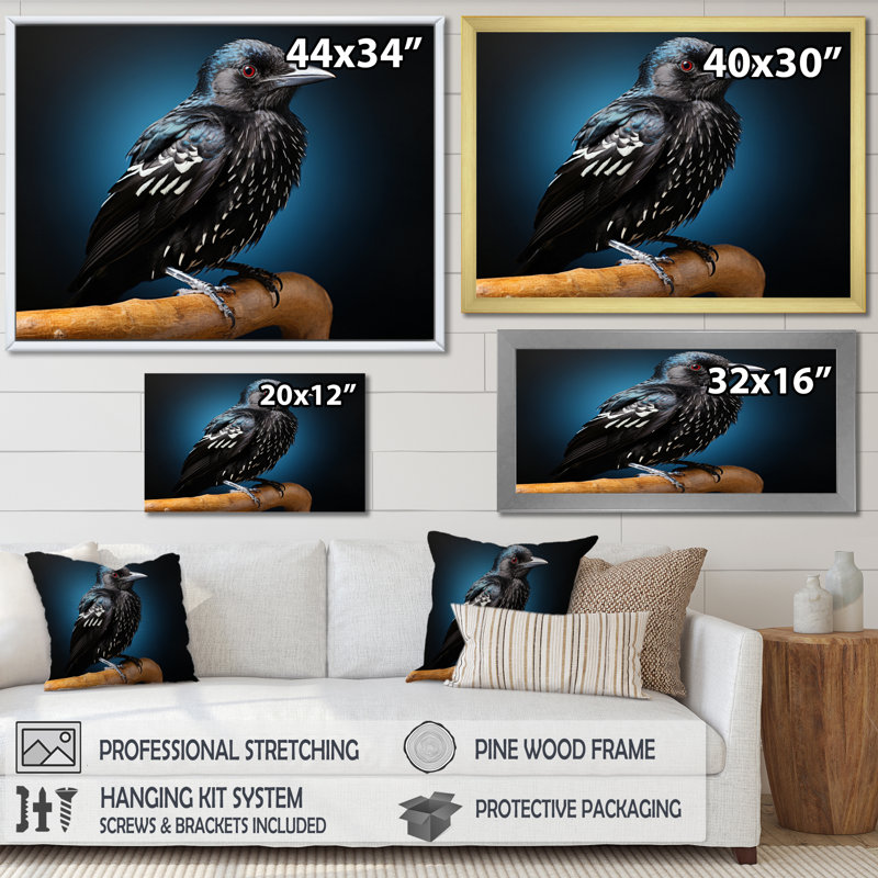 Portrait d'oiseau I - animaux, reproductions d'art mural, H 24 po x l 32 po x P 1 po, Encadrement doré