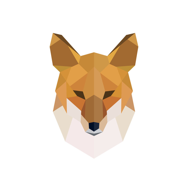 Fox by Greens87 - Wrapped Canvas Print, 122cm H x 122cm W