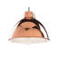 1 - Light Dome Pendant