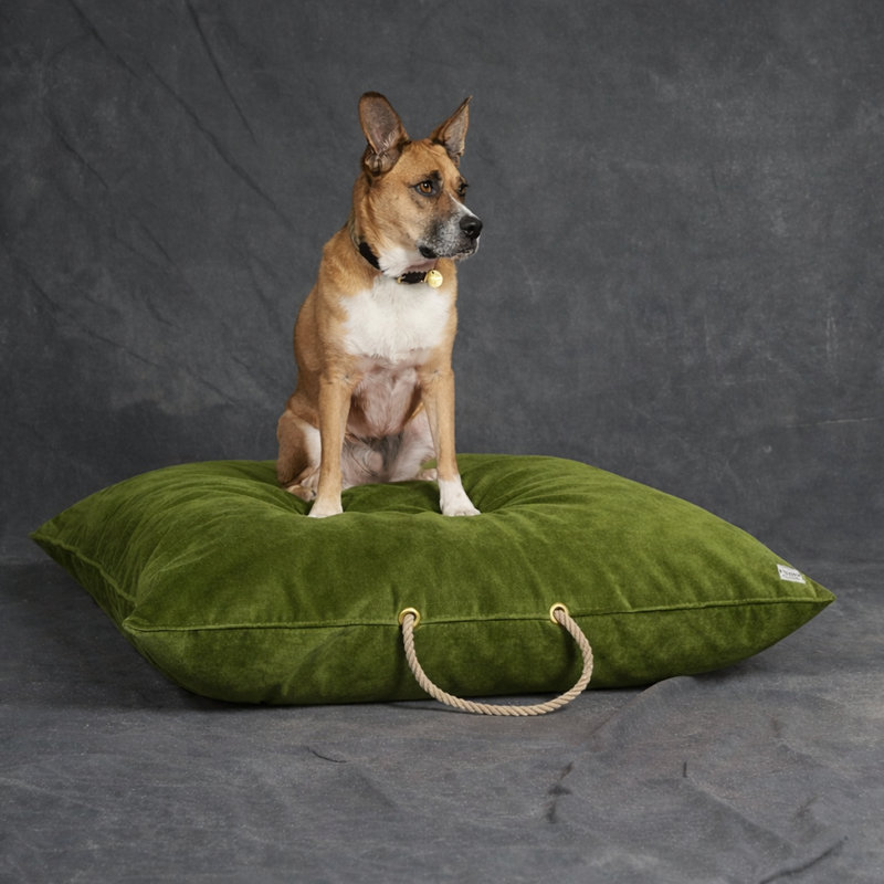  Lit pour chien, velours mousse - moyen, Moss, L 30 po x l 30 po