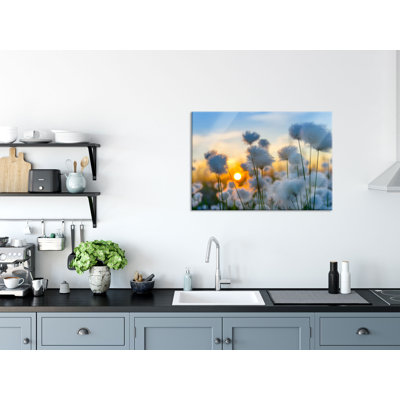 Cotton Blossoms At Sunset - No Frame Print on Glass