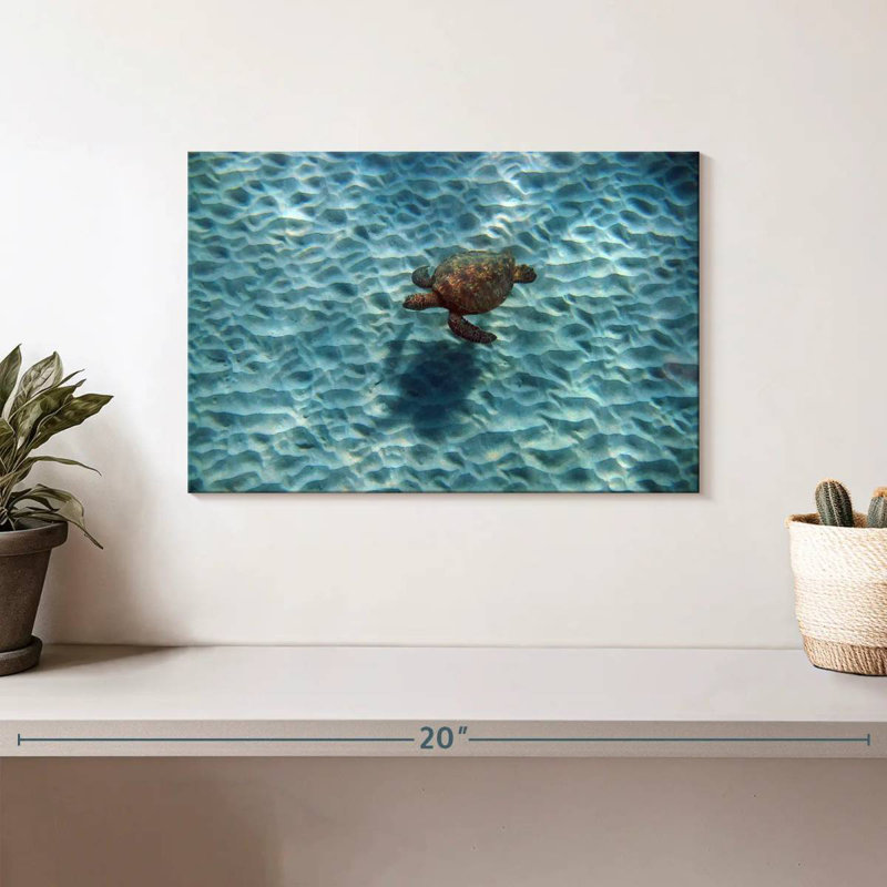 Brampt Underwater Turtle