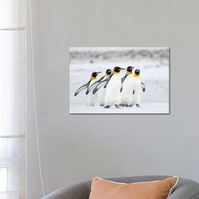 King Penguin on Falkland Islands. 1 Piece Wrapped Canvas Wall Art