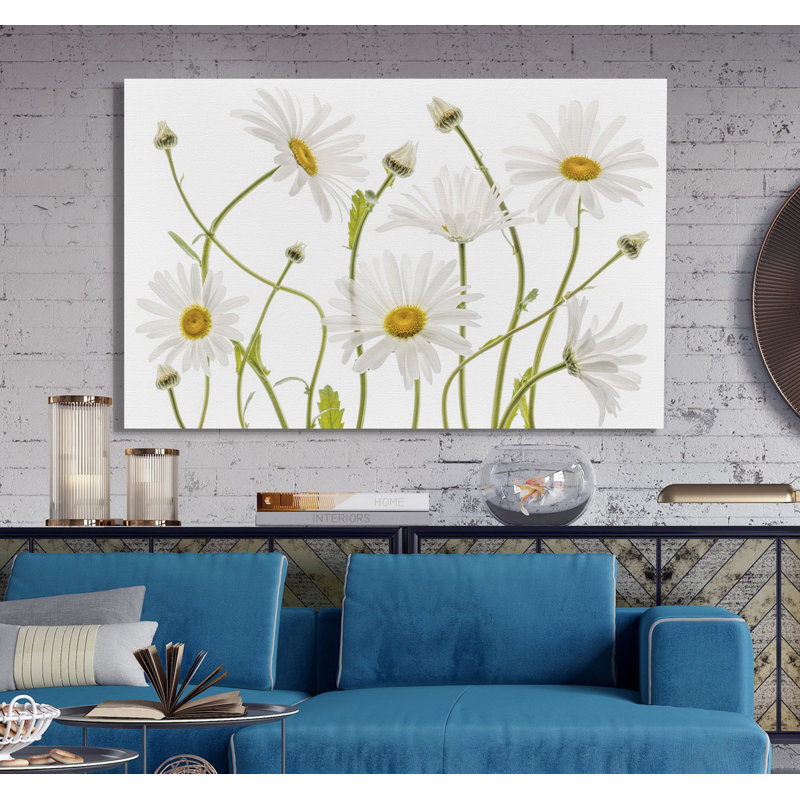 «High Kew Daisies», reproduction, H 32 po x l 48 po x 1,5 po, Toile tendue