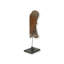 Fragment Of 17Th-C Angel Wing On Stand