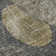 Premium Machine Washable Cerrito AMF556 Brown Rug
